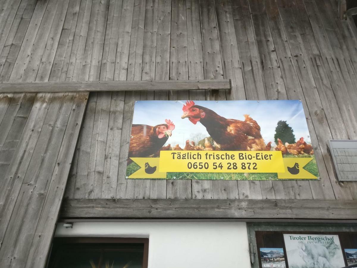 Haus Falkner